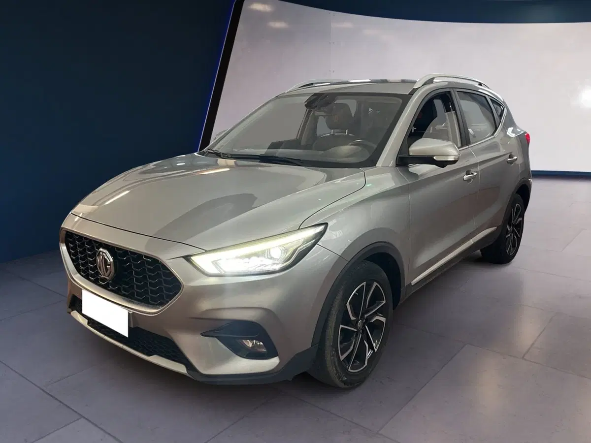 Mg ZS usata a Torino (3)