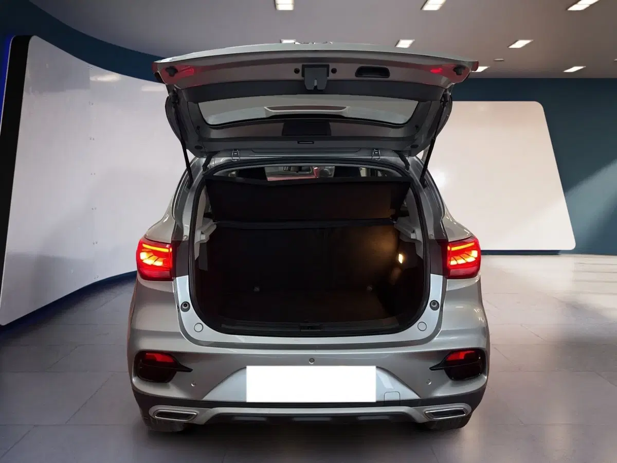 Mg ZS usata a Torino (7)