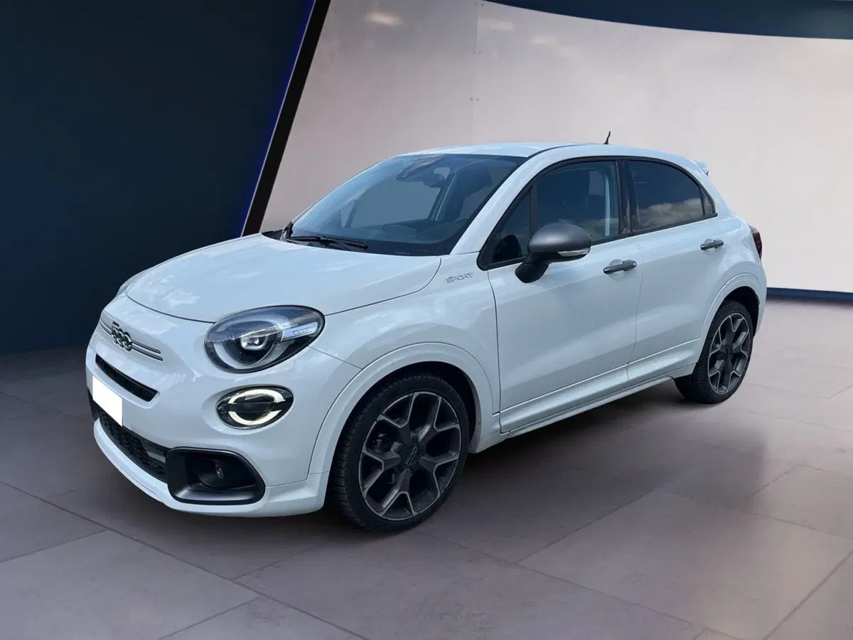 Fiat 500X usata a Torino (2)