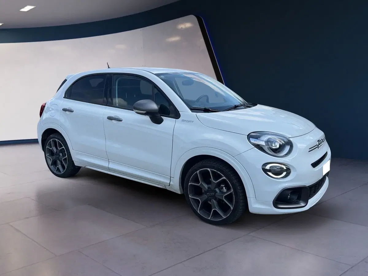 Fiat 500X usata a Torino (3)