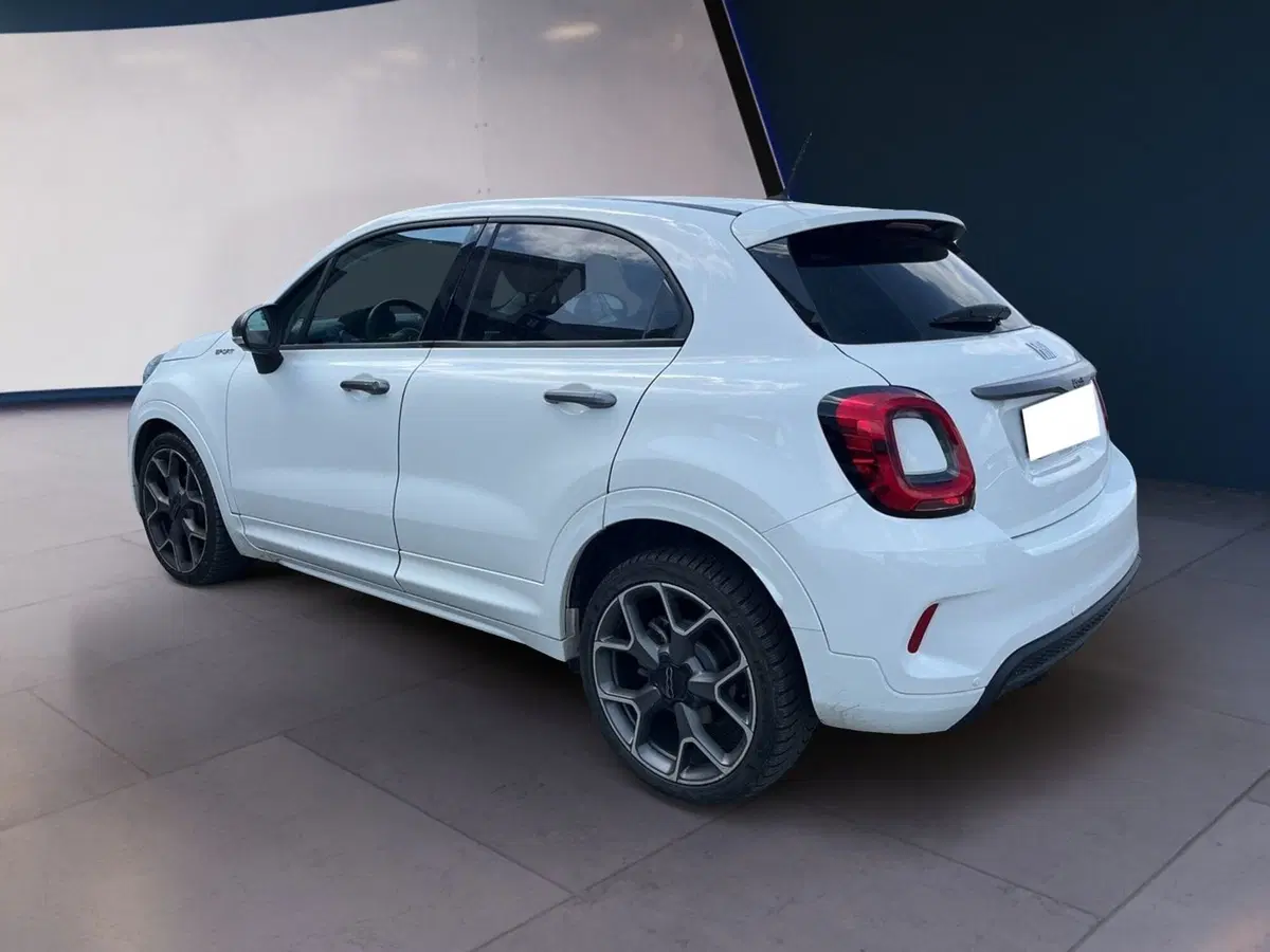 Fiat 500X usata a Torino (6)
