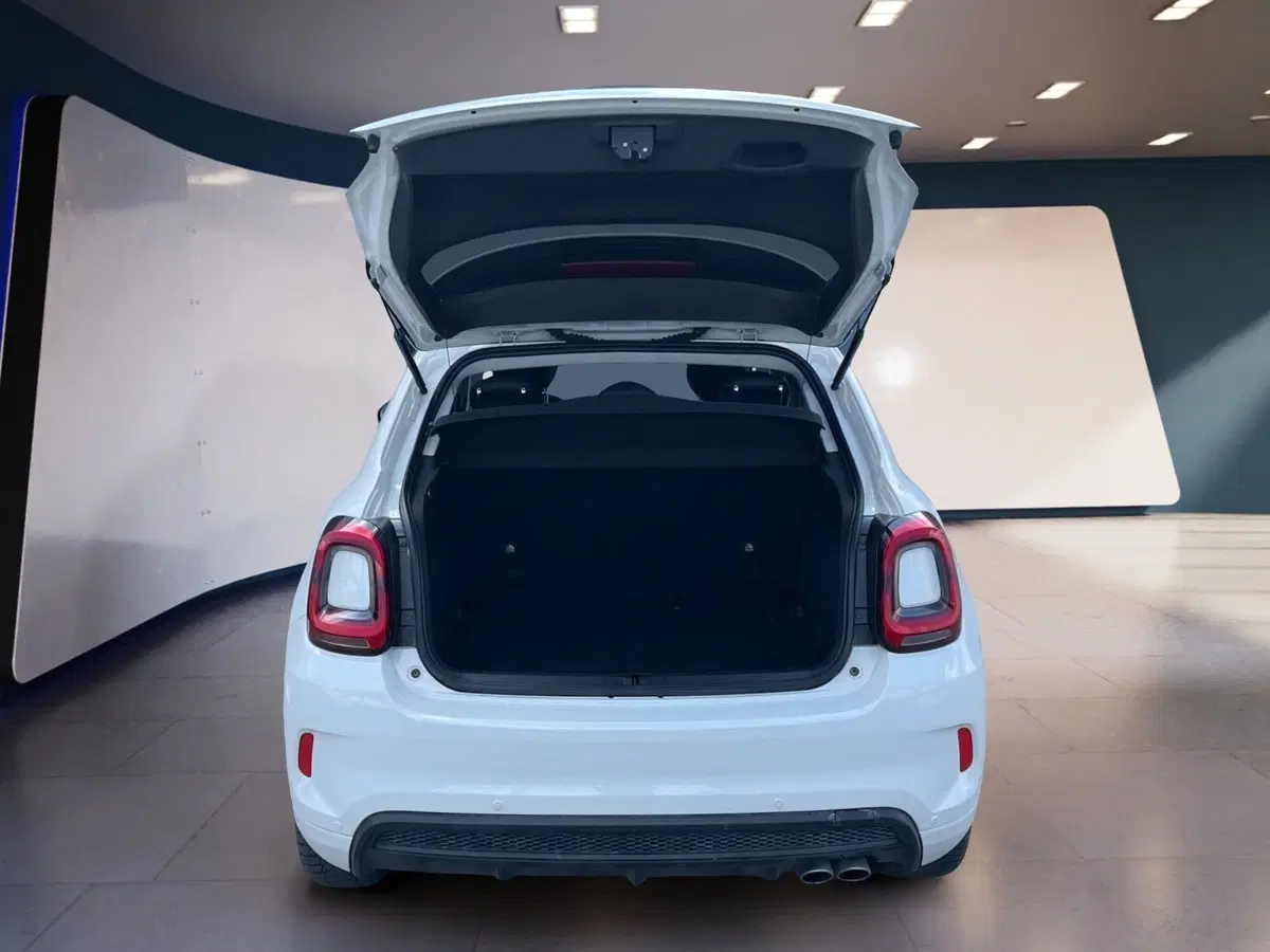 Fiat 500X usata a Torino (7)