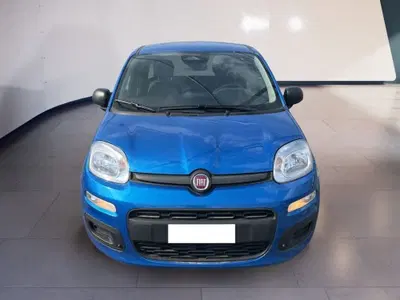 Fiat Pandina 1.0 firefly hybrid s&s 70cv del 2025 usata a Torino