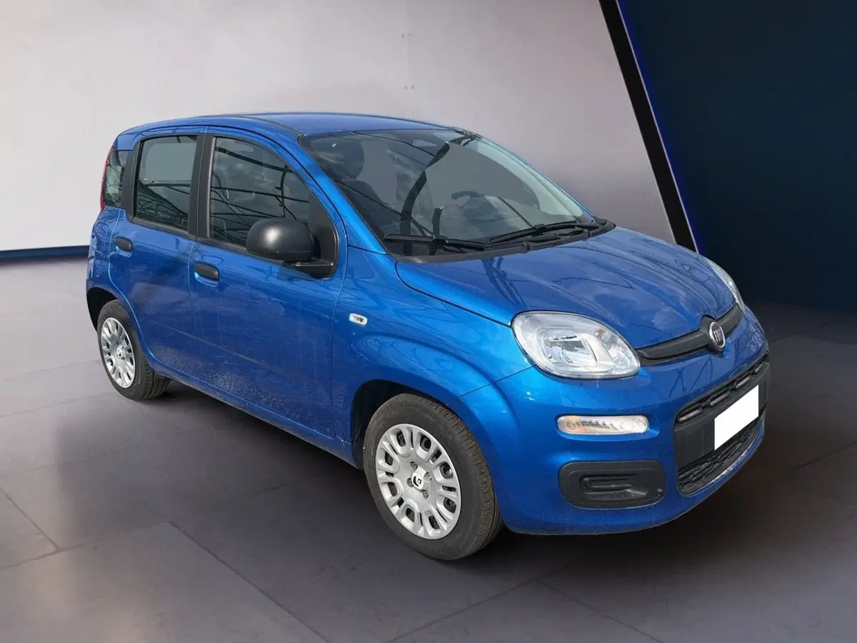 Fiat Pandina usata a Torino (3)