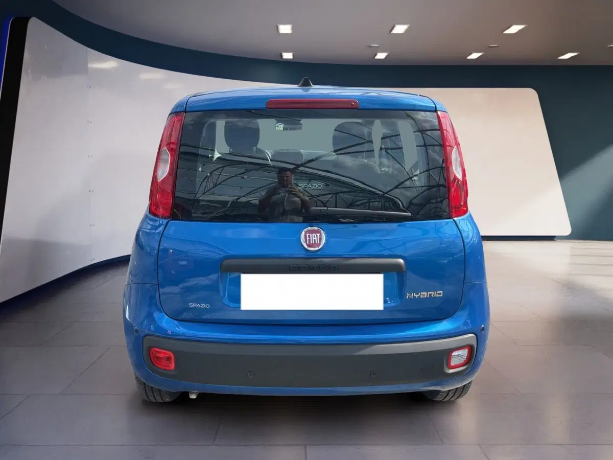 Fiat Pandina usata a Torino (5)