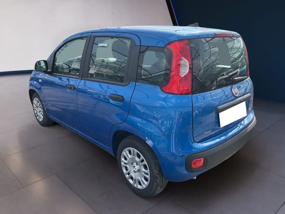 Fiat Pandina usata a Torino (6)