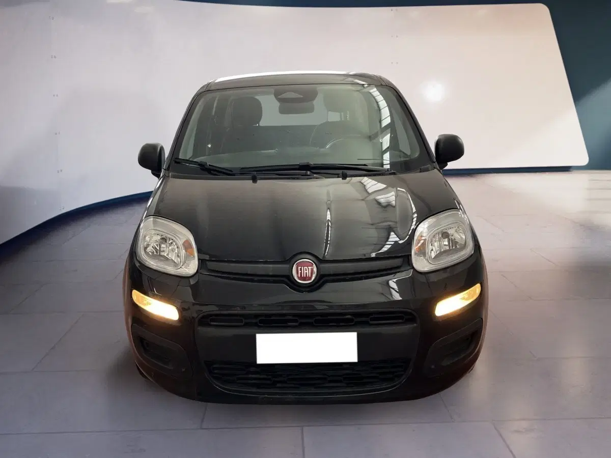 Fiat Pandina usata a Torino