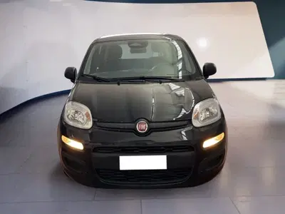Fiat Pandina 1.0 firefly hybrid s&s 70cv del 2025 usata a Torino