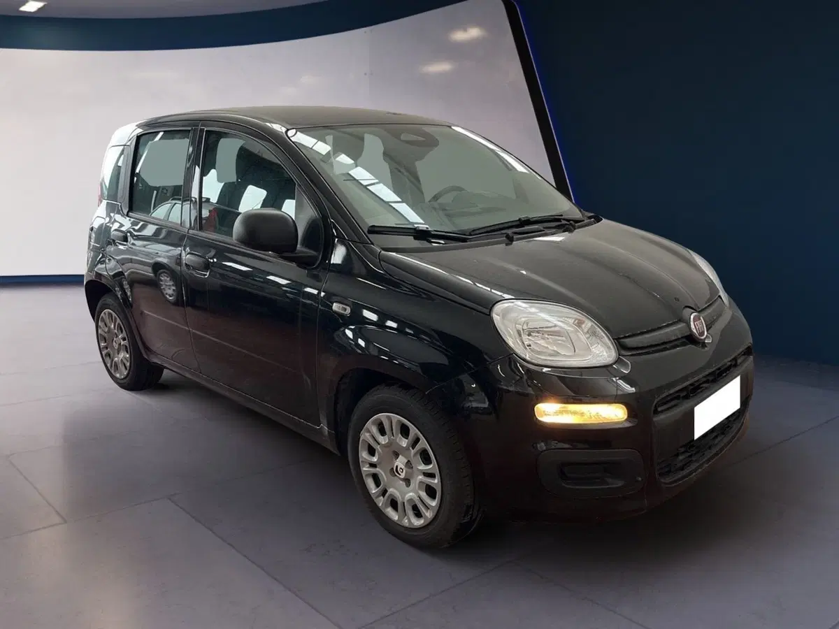 Fiat Pandina usata a Torino (2)