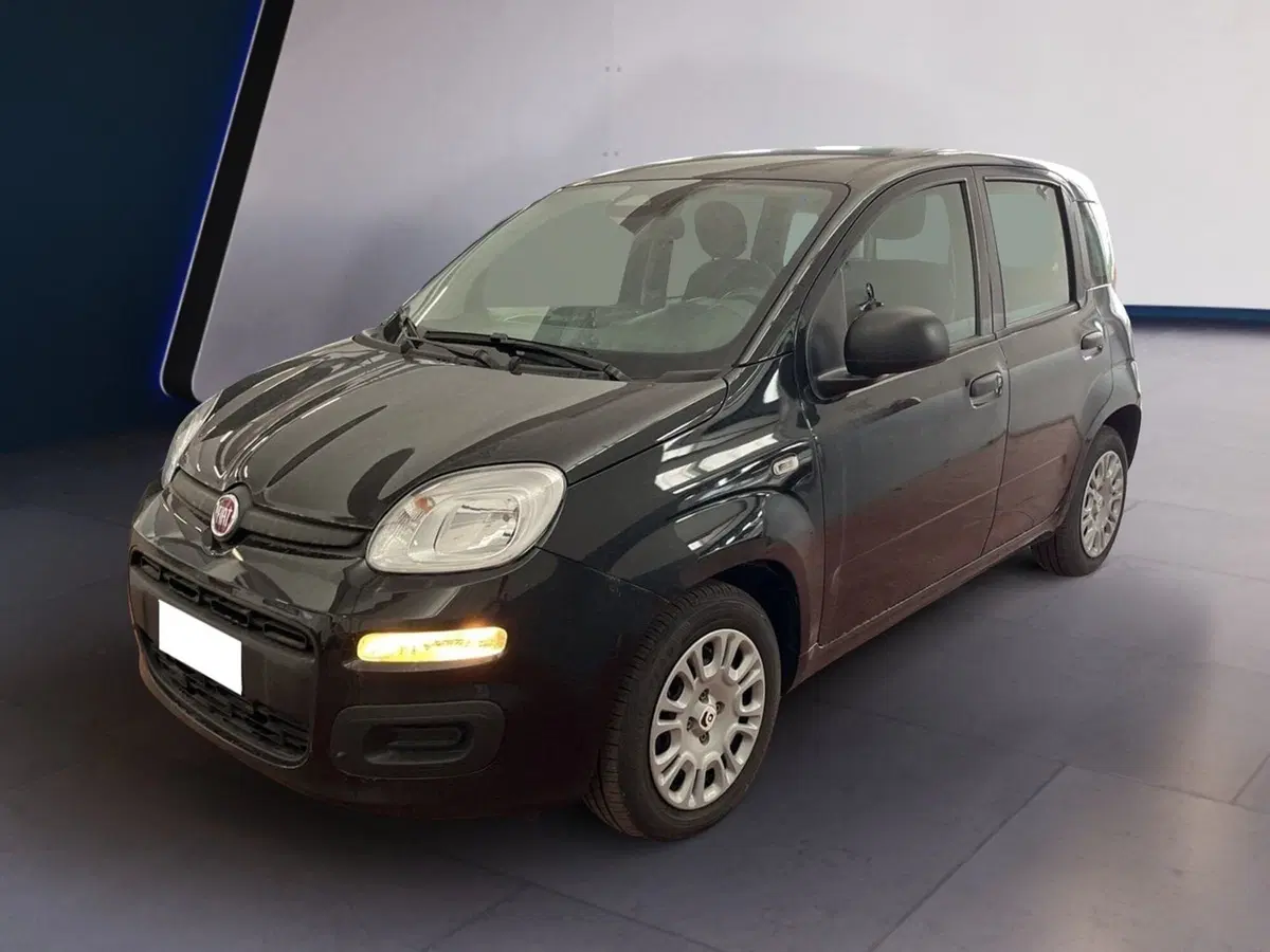 Fiat Pandina usata a Torino (3)