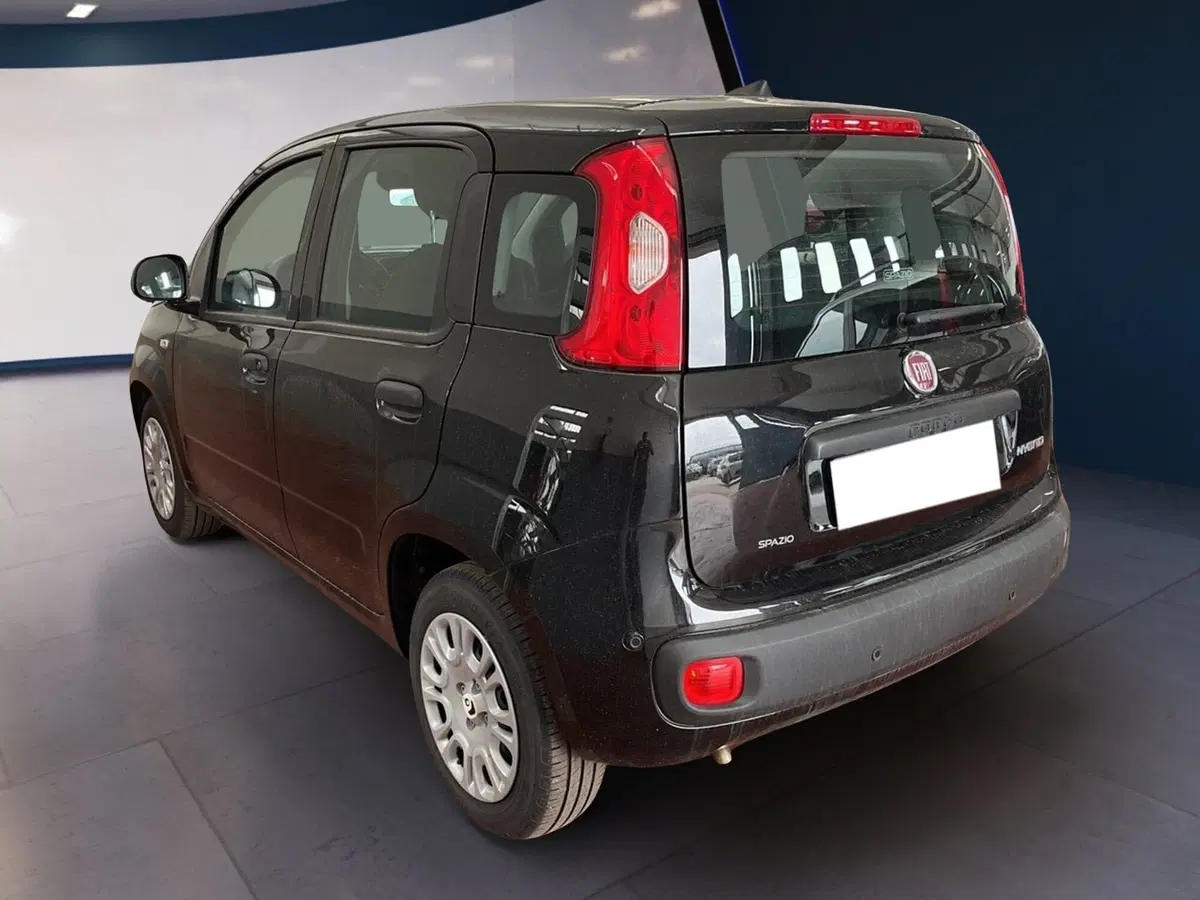 Fiat Pandina usata a Torino (4)