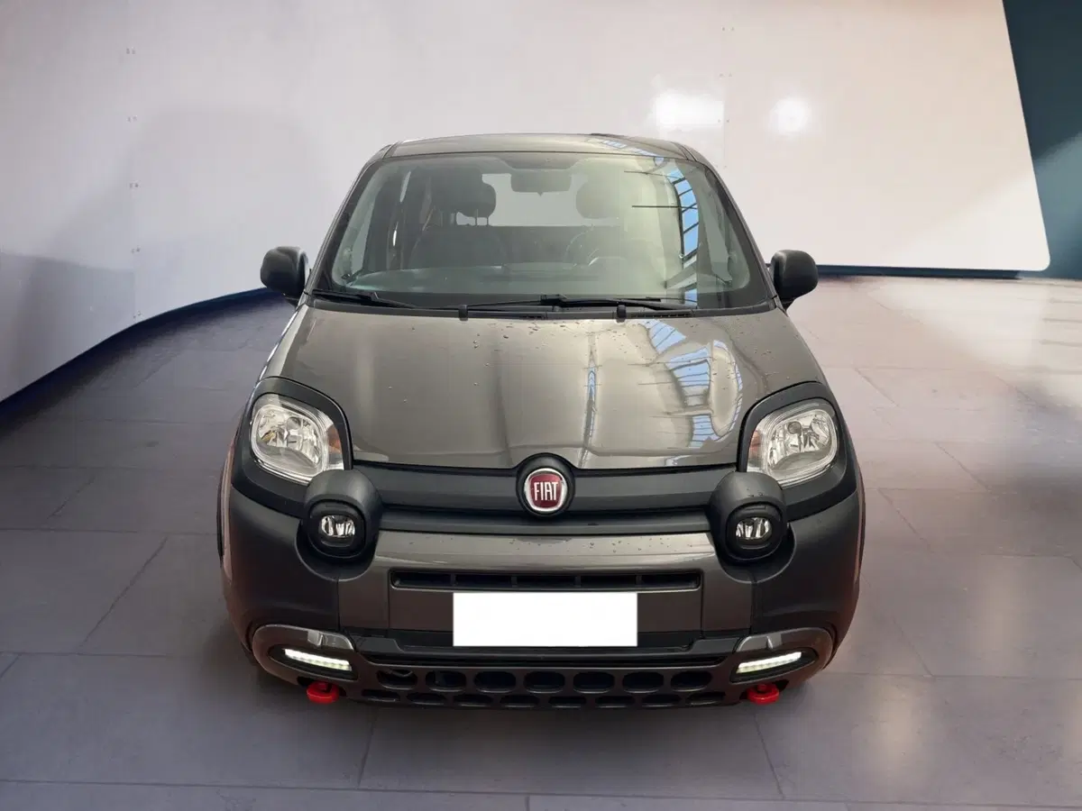 Fiat Panda usata a Torino