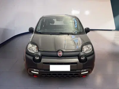 Fiat Panda 1.0 FireFly S&S Hybrid City Cross del 2022 usata a Torino