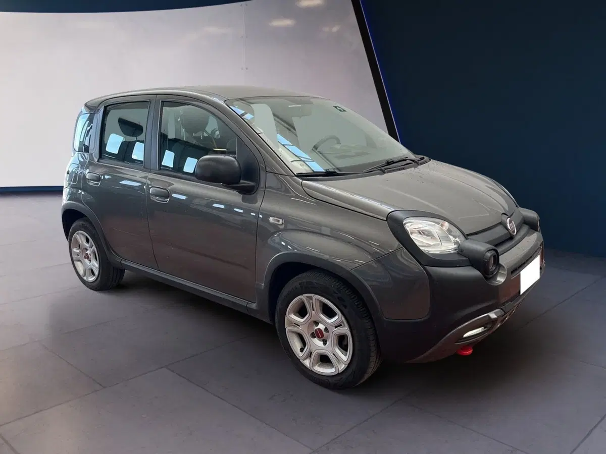 Fiat Panda usata a Torino (2)