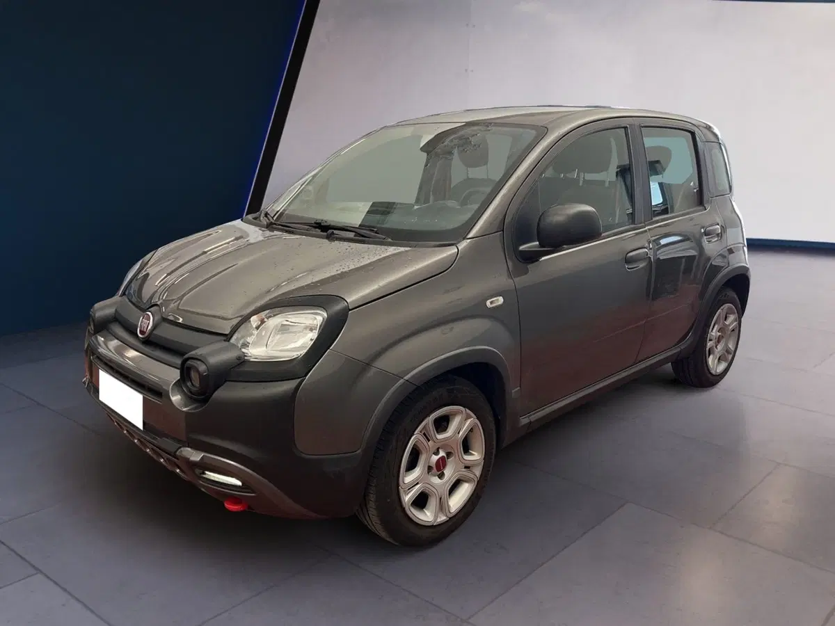 Fiat Panda usata a Torino (3)