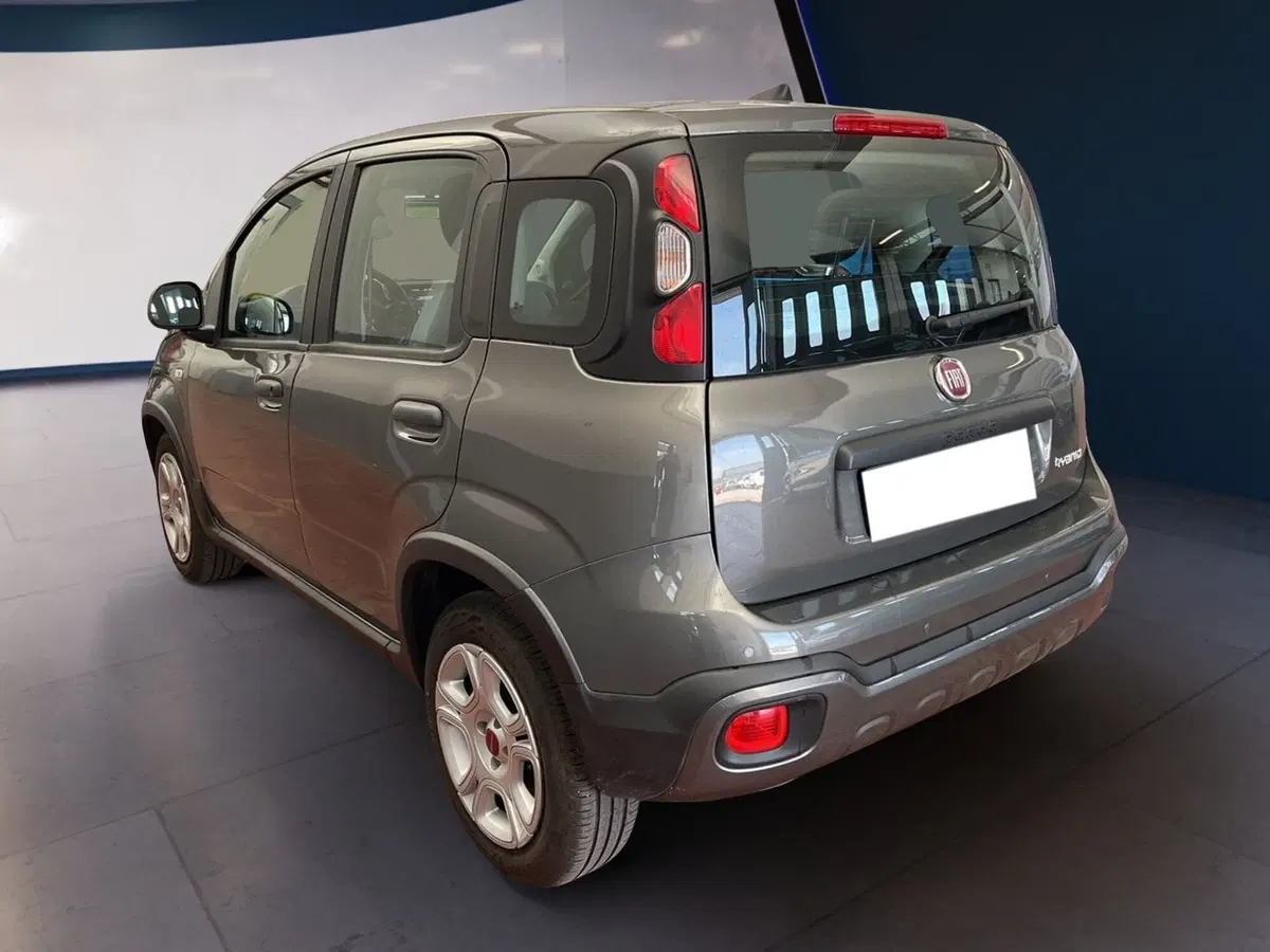 Fiat Panda usata a Torino (4)