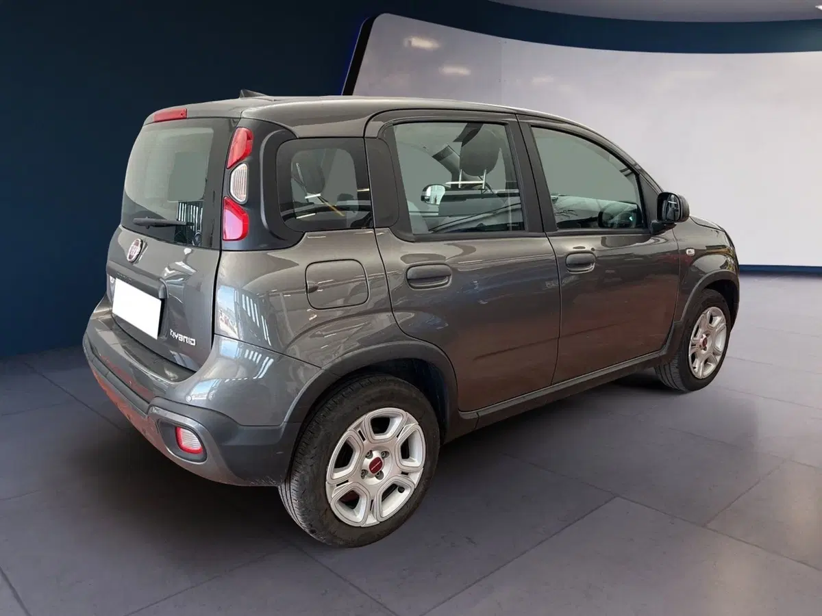 Fiat Panda usata a Torino (6)