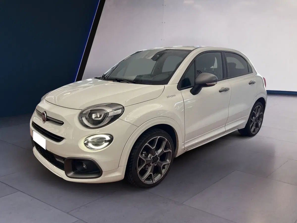 Fiat 500X usata a Torino (2)