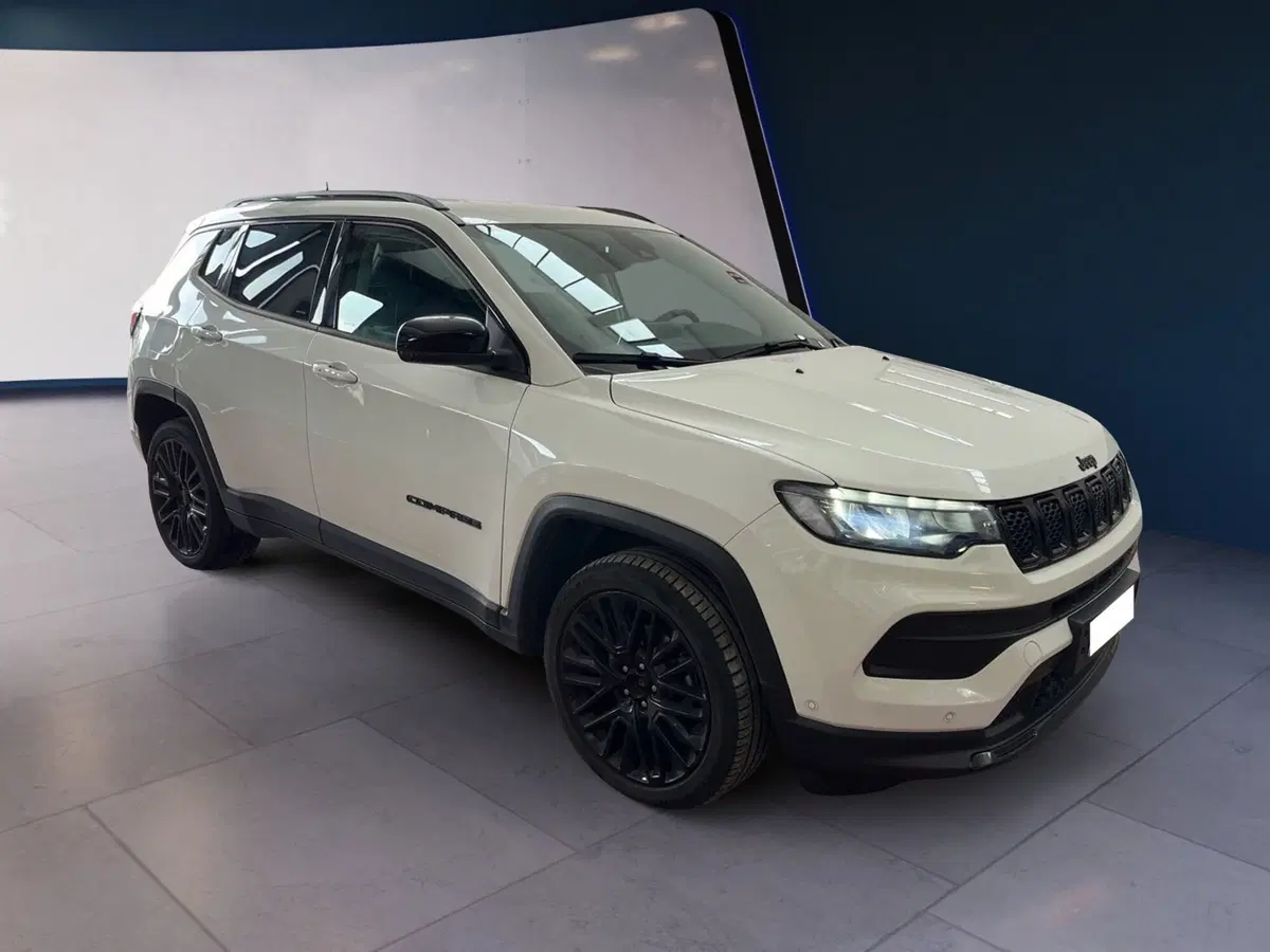 Jeep Compass usata a Torino (2)