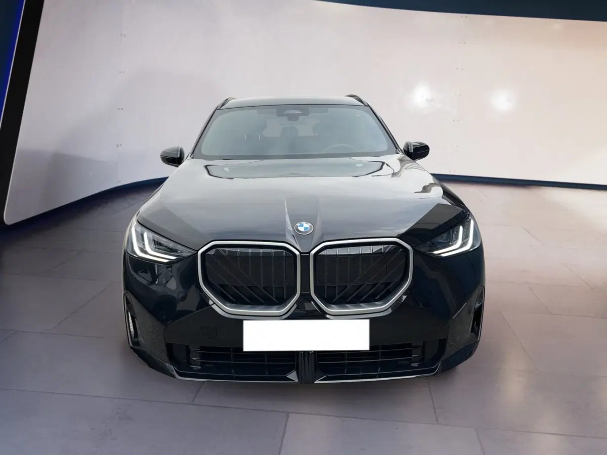 BMW X3 usata a Torino