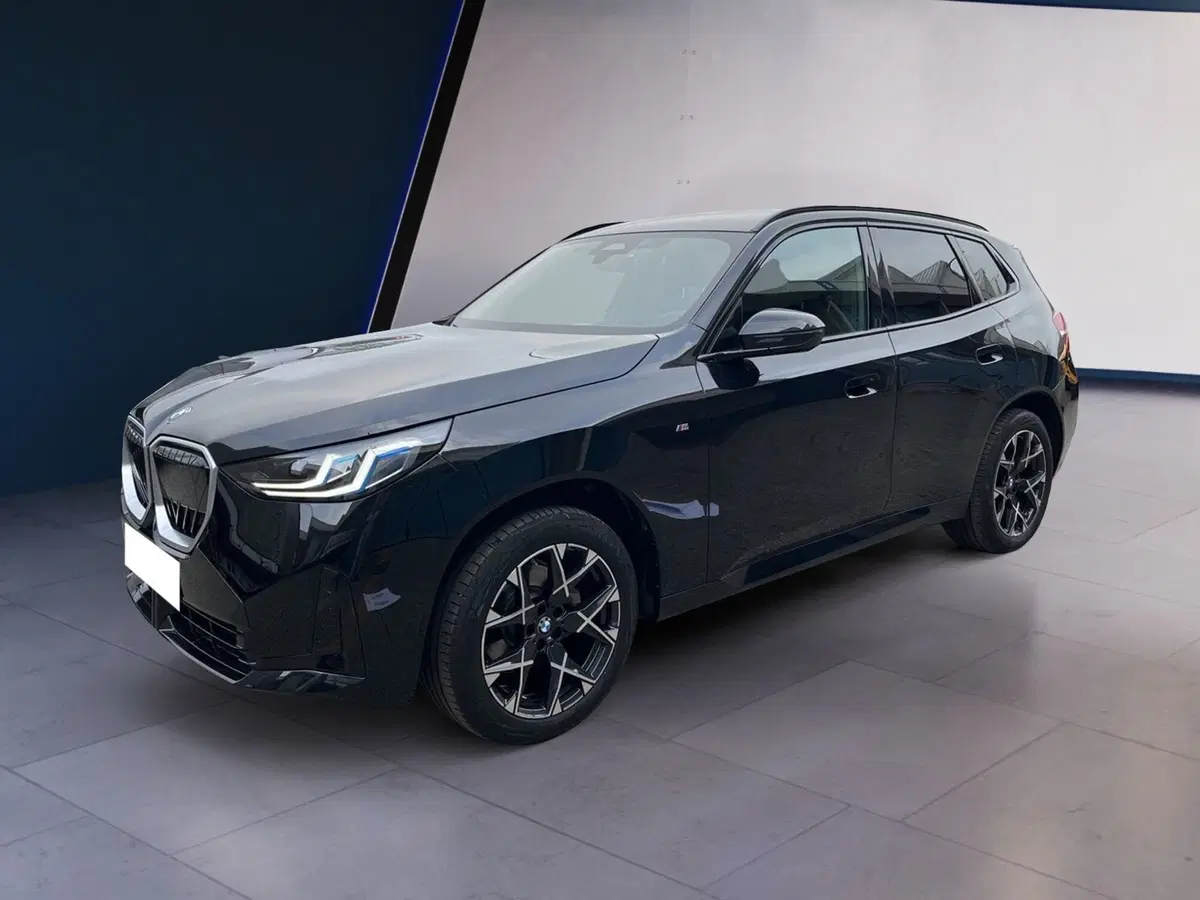 BMW X3 usata a Torino (2)