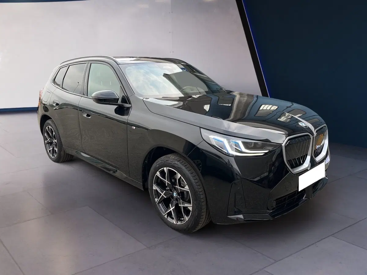 BMW X3 usata a Torino (3)
