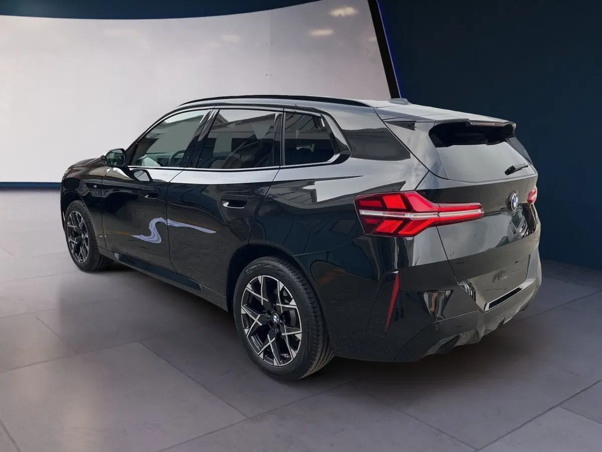 BMW X3 usata a Torino (6)