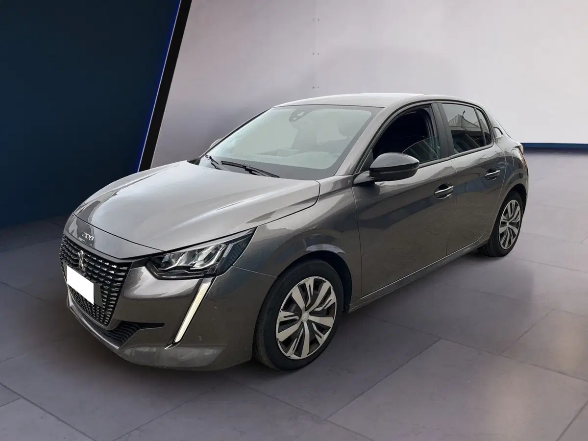 Peugeot 208 usata a Torino (2)