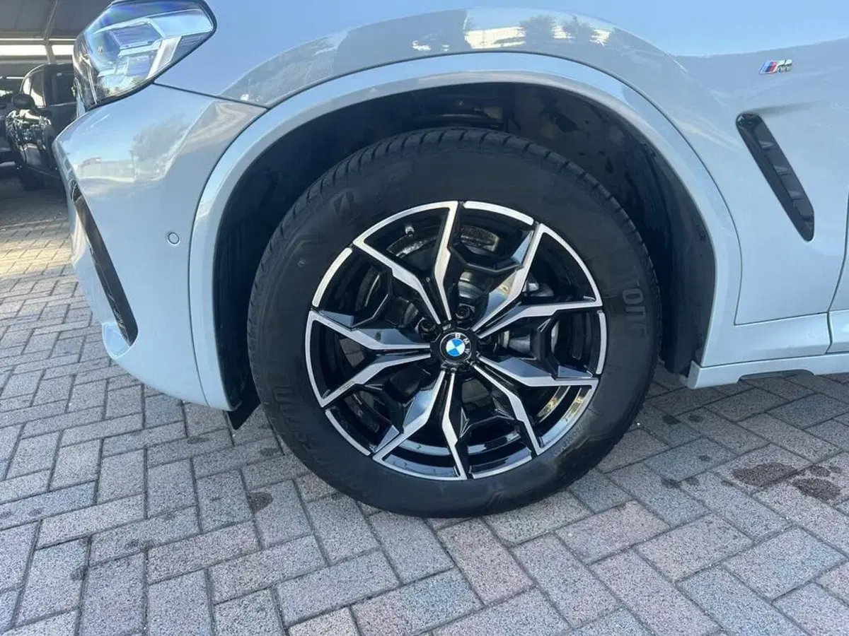 BMW X4 usata a Alessandria (10)