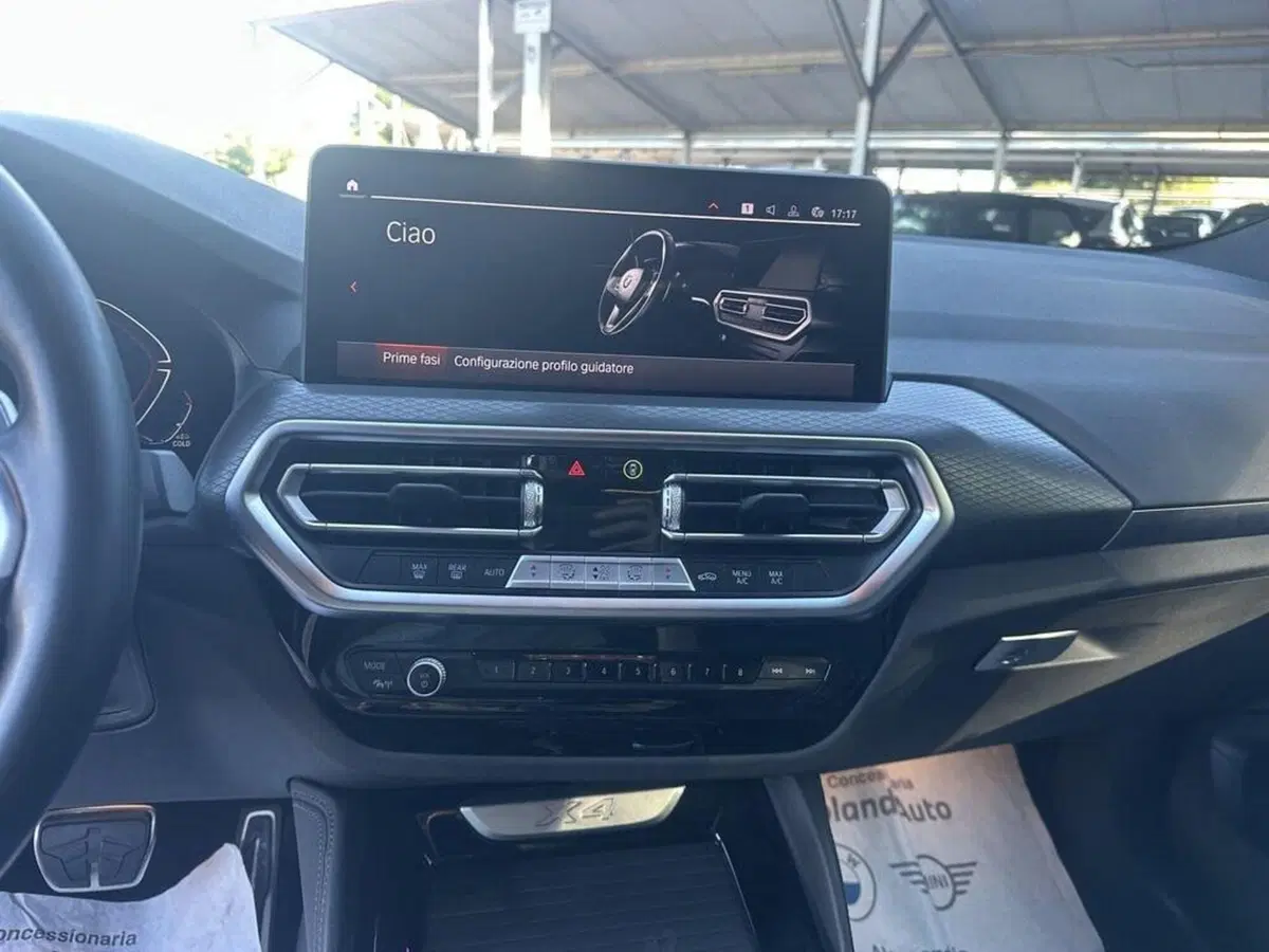 BMW X4 usata a Alessandria (14)