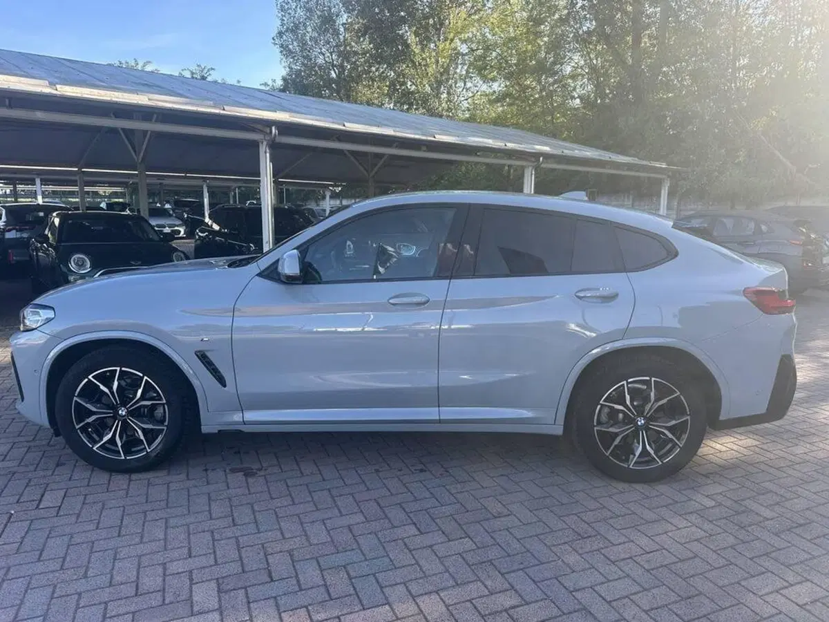 BMW X4 usata a Alessandria (5)