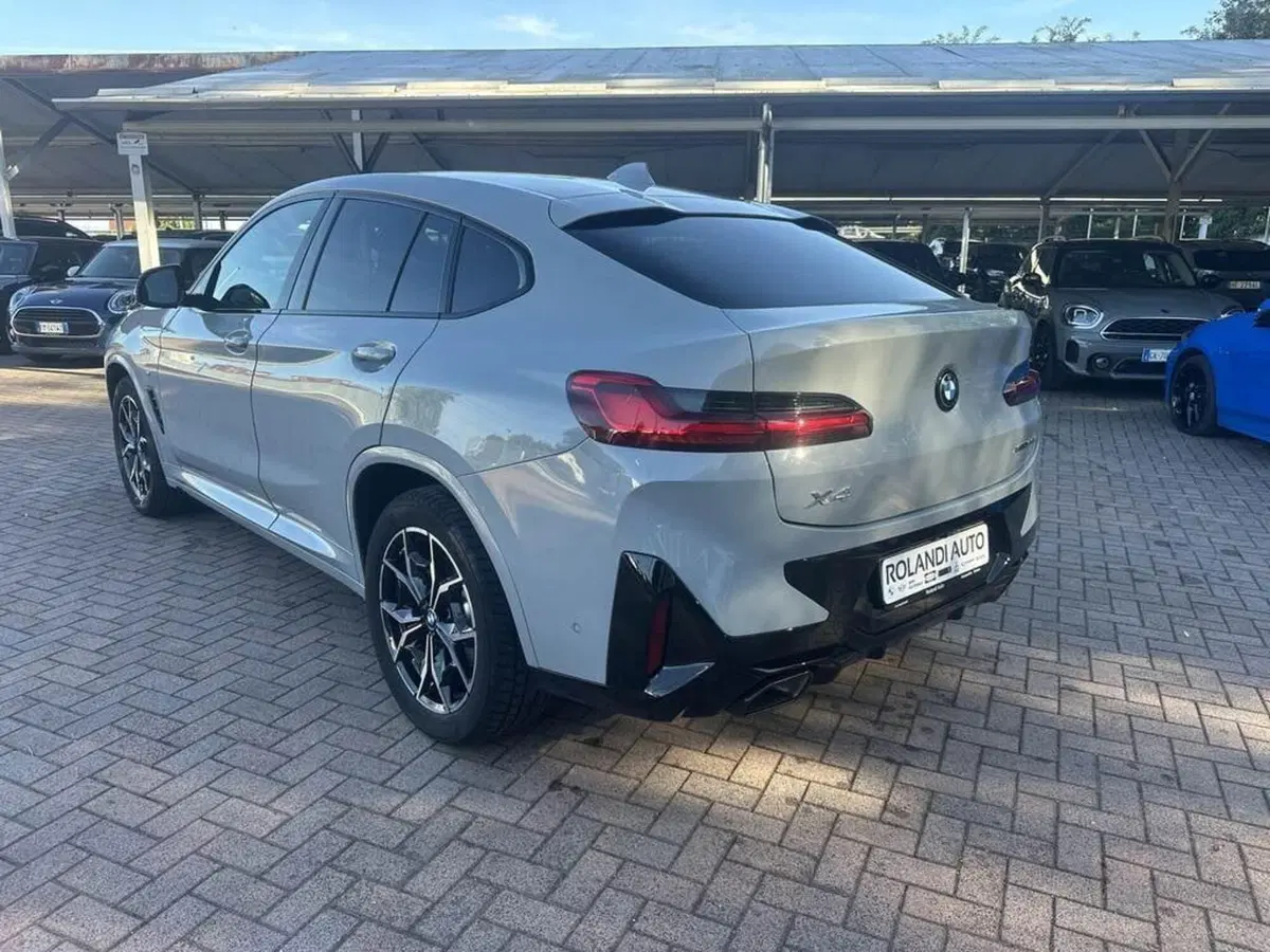 BMW X4 usata a Alessandria (6)