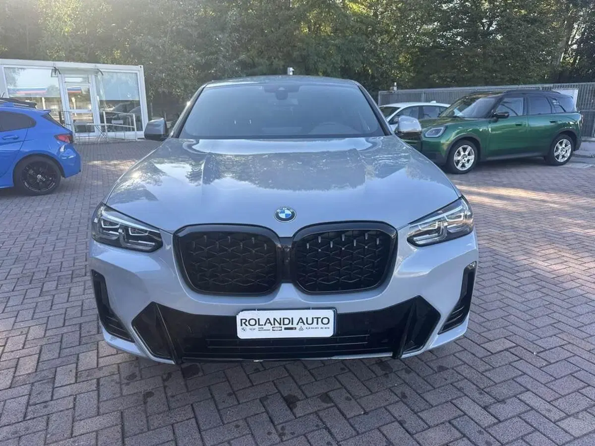 BMW X4 usata a Alessandria (8)