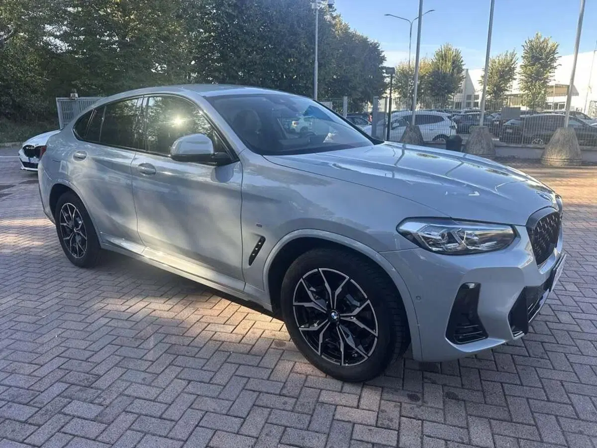 BMW X4 usata a Alessandria (9)
