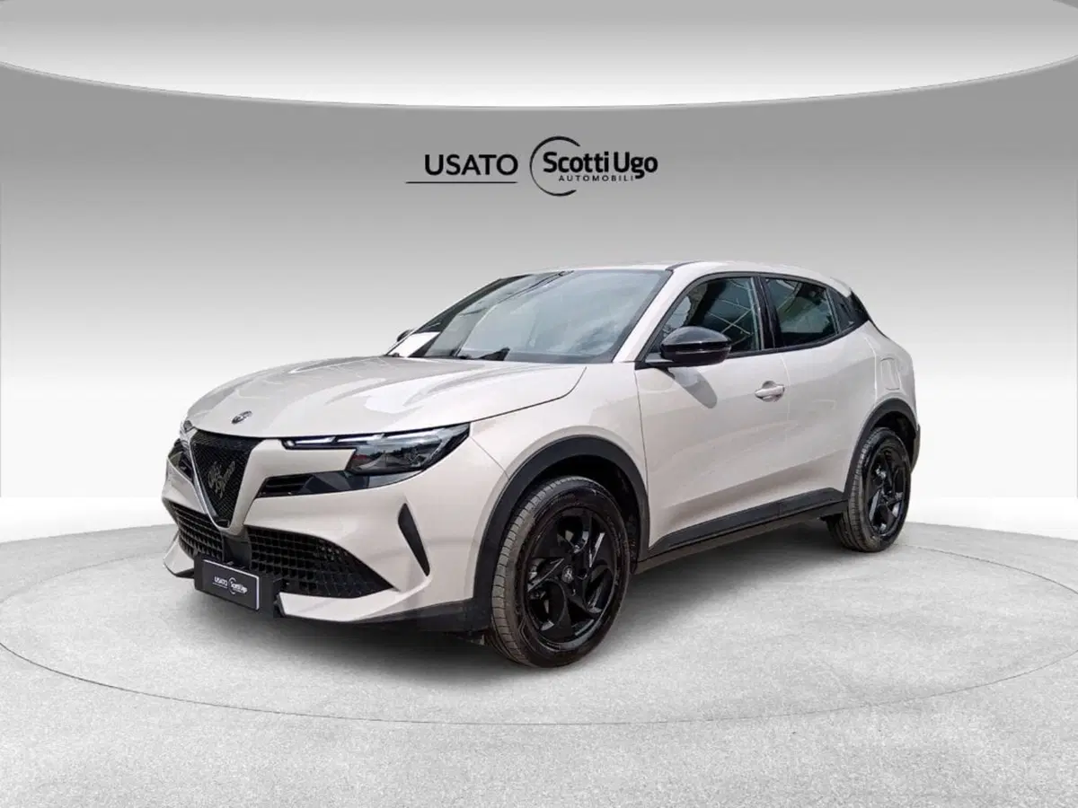 Alfa Romeo Junior usata a Pisa