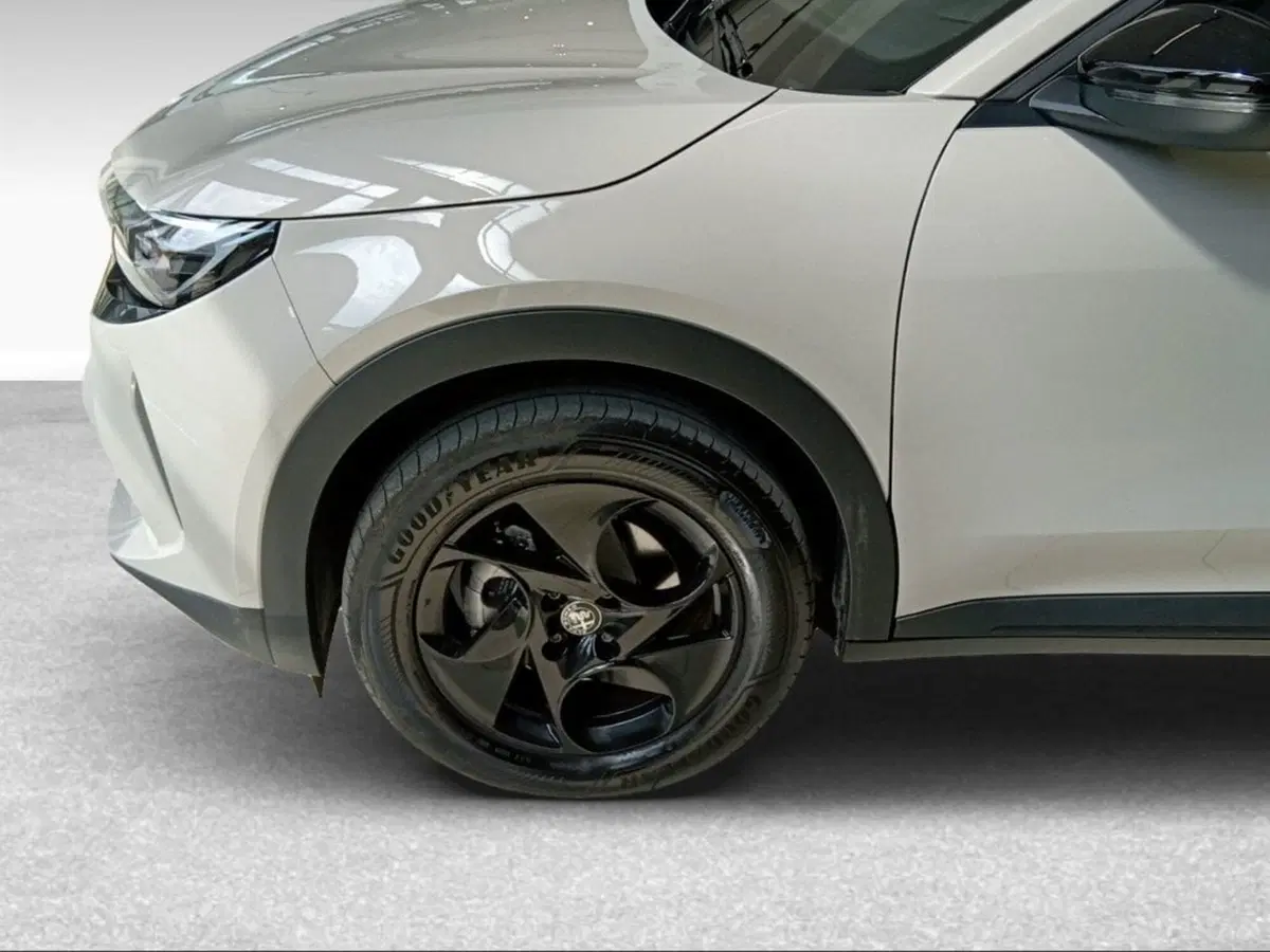 Alfa Romeo Junior usata a Pisa (4)