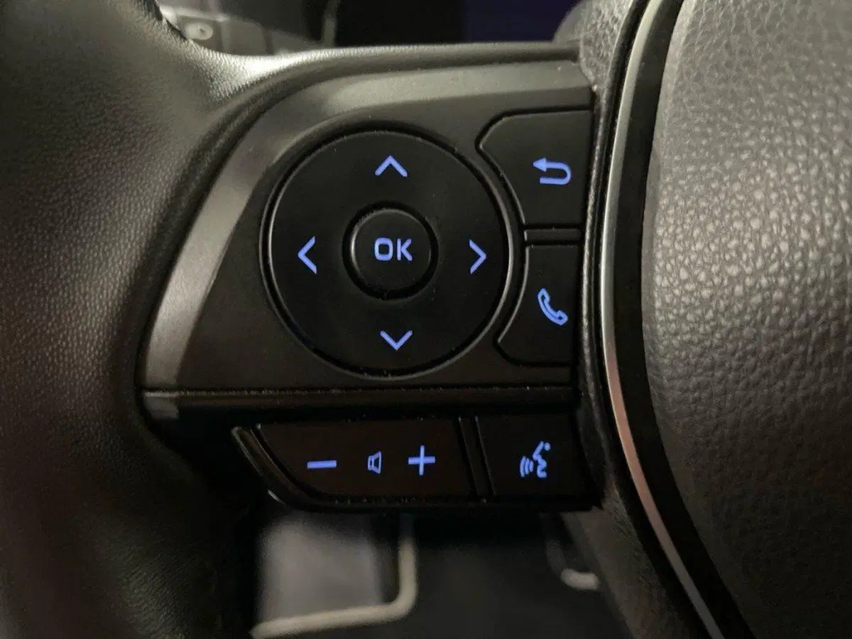 Toyota Rav4 usata a Macerata (16)