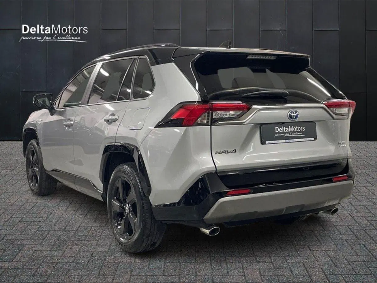 Toyota Rav4 usata a Macerata (2)