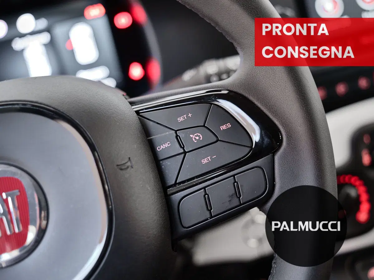 Fiat Panda Cross usata a Prato (5)
