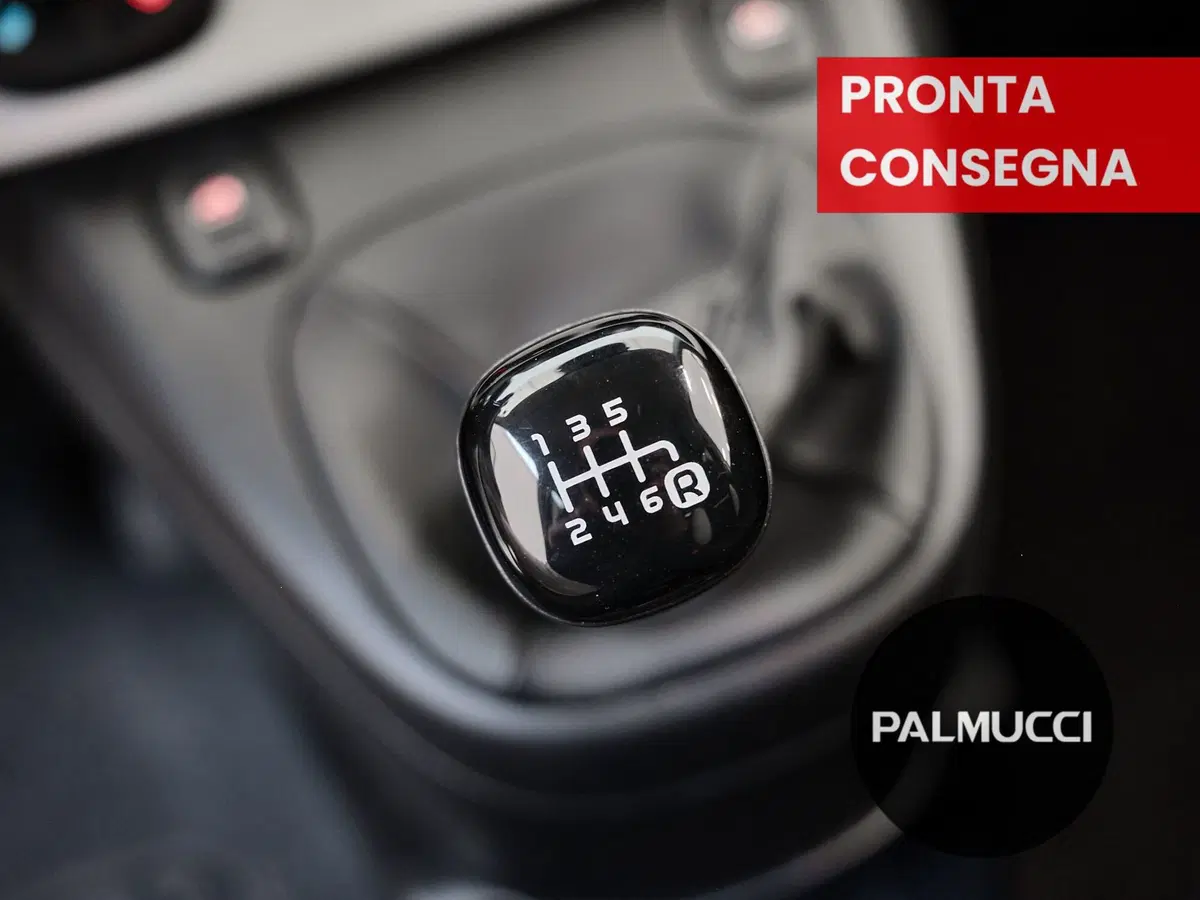 Fiat Panda Cross usata a Prato (7)