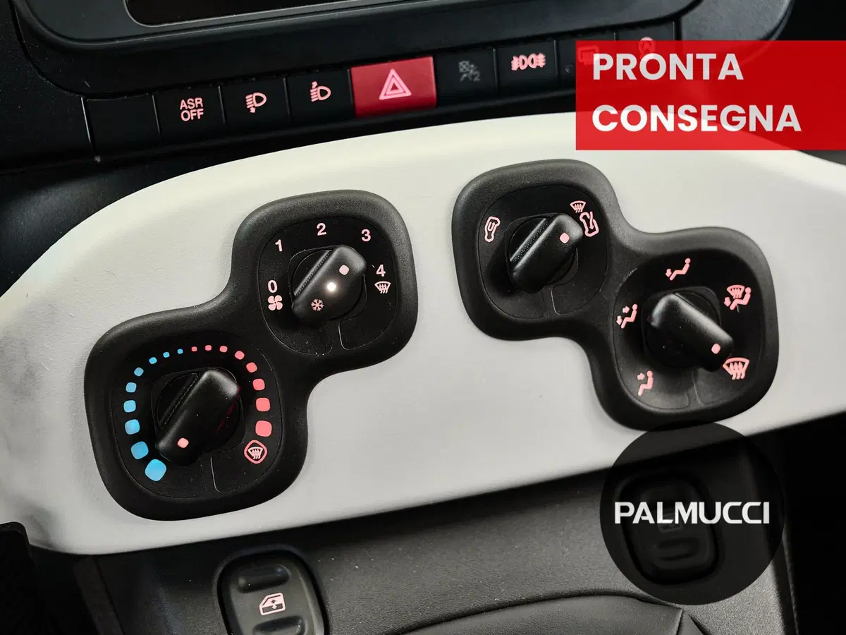 Fiat Panda Cross usata a Prato (9)
