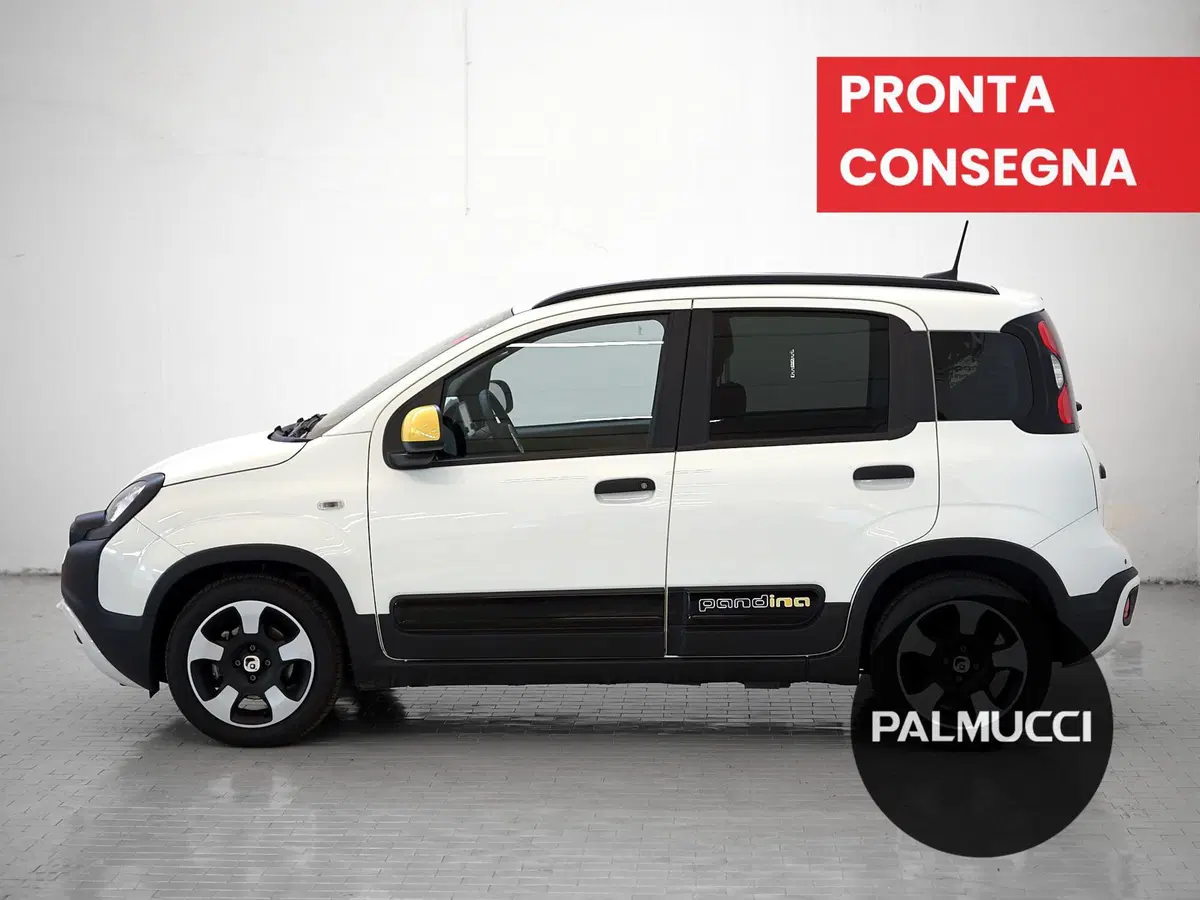 Fiat Panda Cross usata a Prato