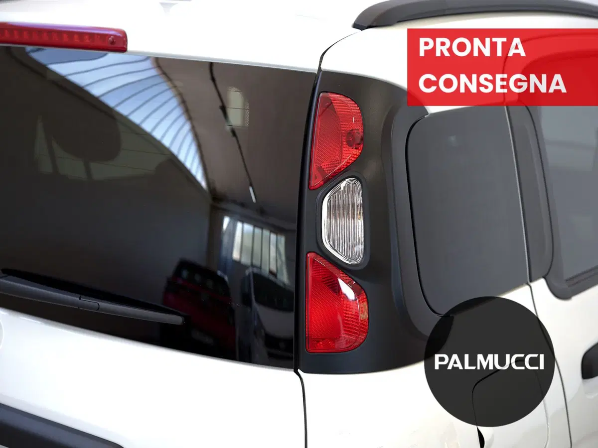 Fiat Panda Cross usata a Prato (2)