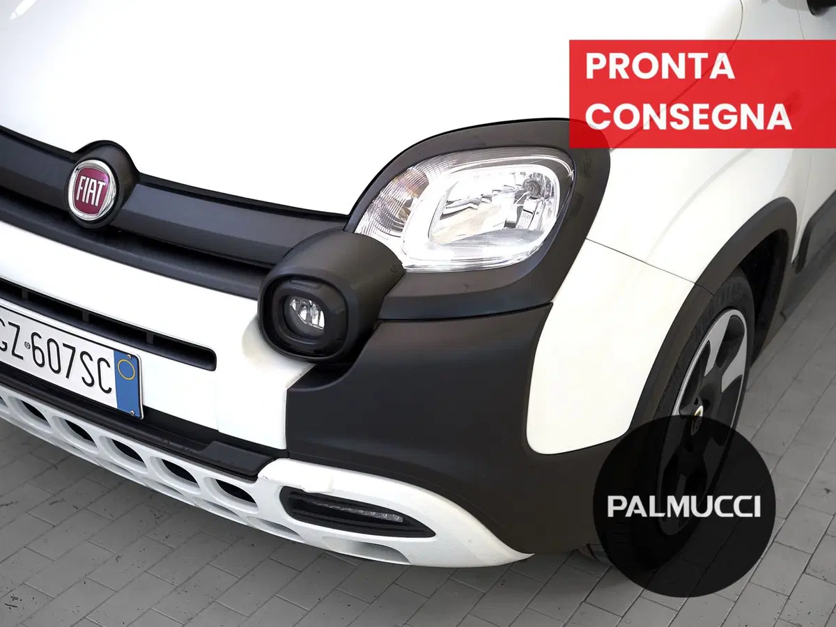 Fiat Panda Cross usata a Prato (3)