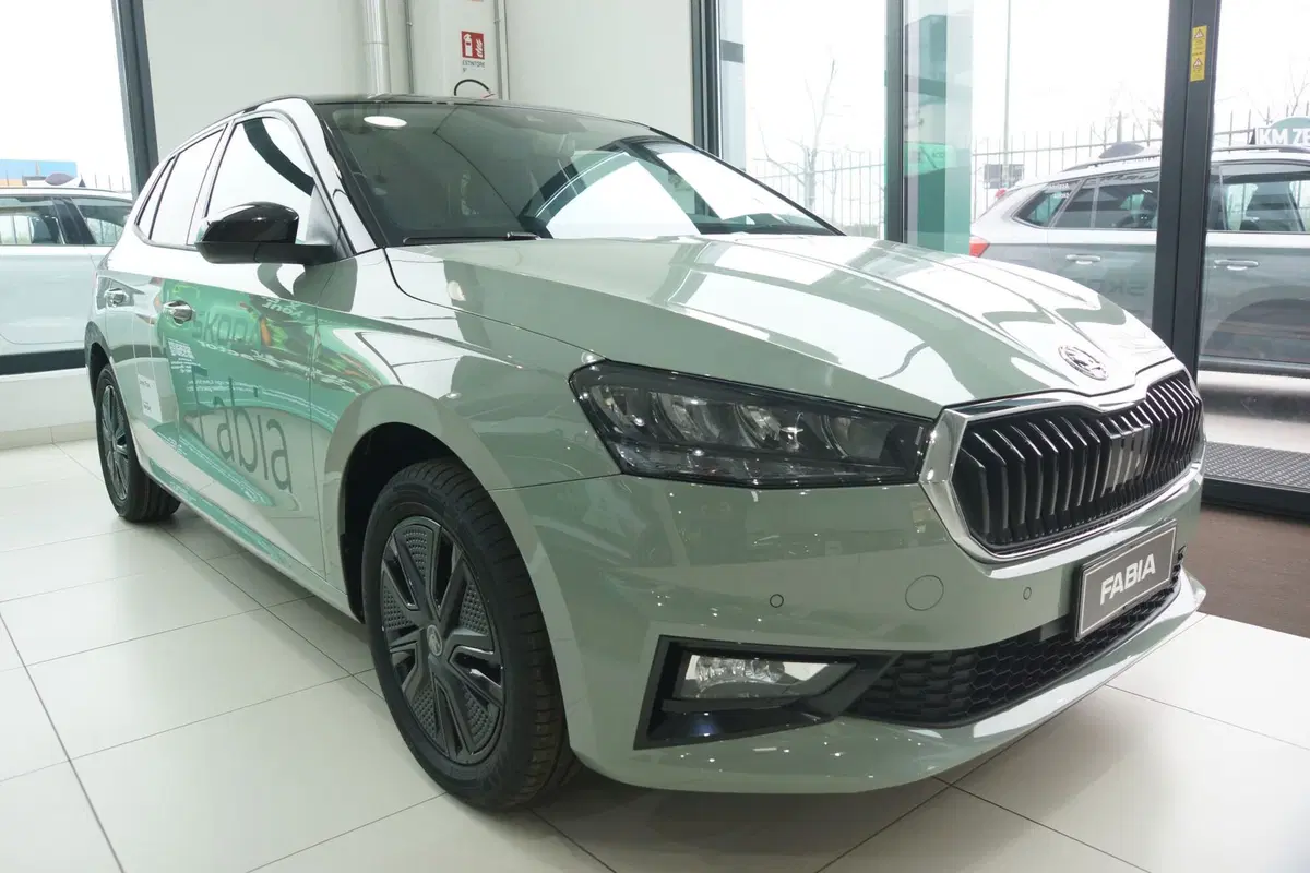 Skoda Fabia nuova a Torino