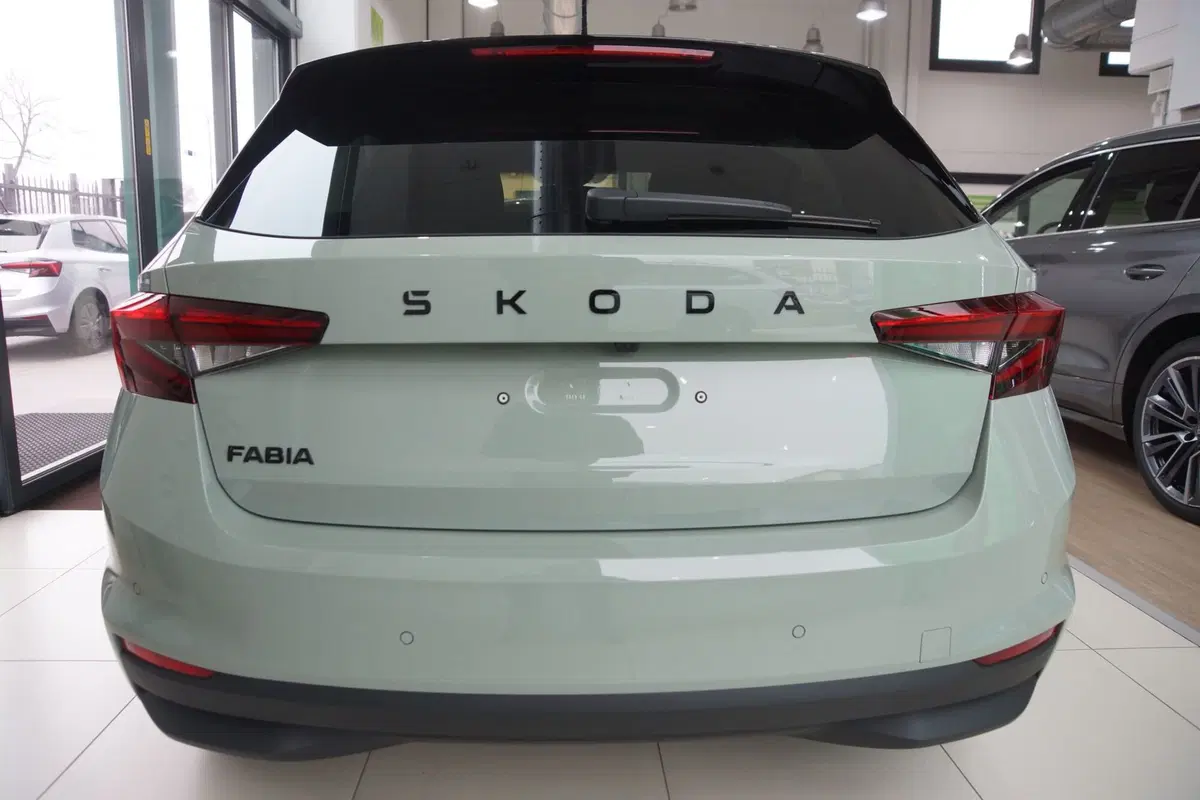 Skoda Fabia nuova a Torino (5)
