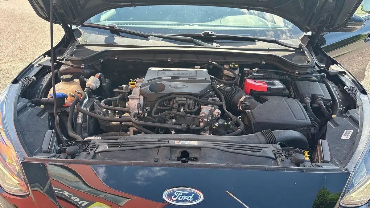 Ford Focus usata a Treviso (6)