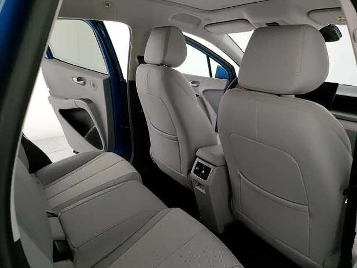 Byd Dolphin G DM-i nuova a Caserta (15)