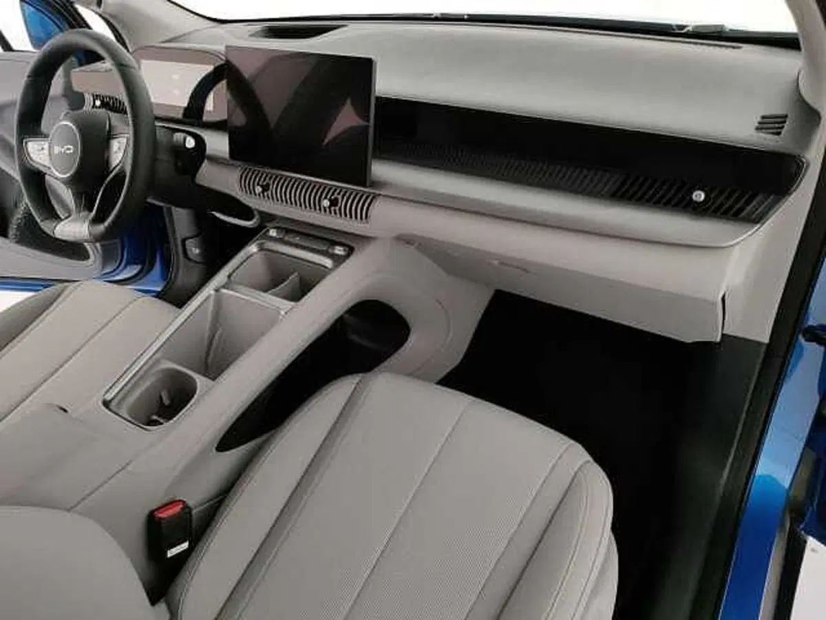 Byd Dolphin G DM-i nuova a Caserta (17)
