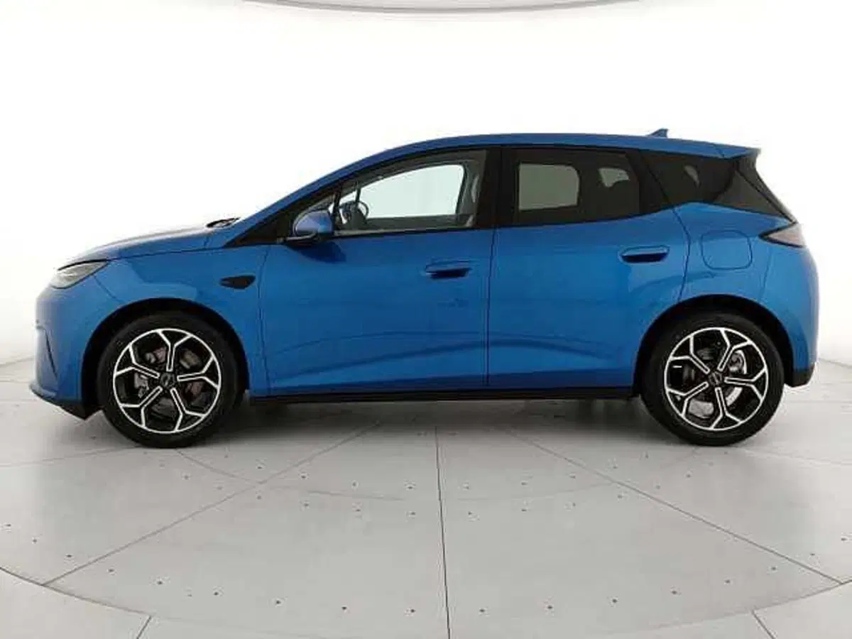 Byd Dolphin G DM-i nuova a Caserta (8)